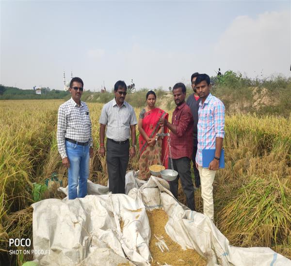 Nalgonda District - Miryalaguda Division                                                                                                                                                                                                                   - Crop Cutting Expts.,                                                                                                                                   - CC EXPERIMENT ATTENDED BY RDO MIRYALAGUDA GARU, DIV.DY.S.O, MPSO MIRYALAGUDA & AEO MIRYALAGUDA OF MIRYALAGUDA VILLAGE OF MIRYALAGUDA MANDAL OF NALGONDA DISTRICT                                                                                                - dt.15/11/2019          